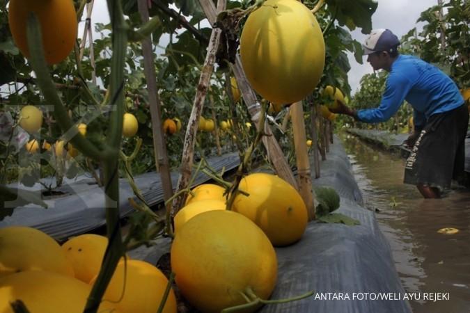 Ini cara kembangkan fintech pertanian menurut AFPI