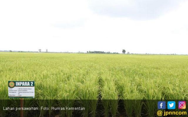 Kementan Pede Capai Target Asuransi Pertanian dan Peternakan